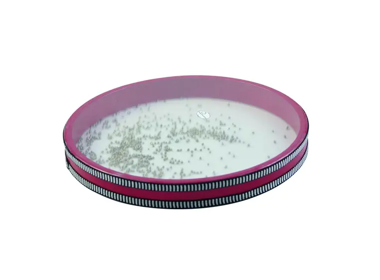 Dimavery Ocean Drum, small 